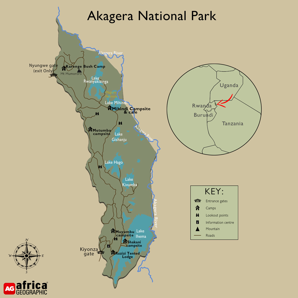 Explore Akagera National Park, Rwanda. Discover wildlife safaris, Big Five animals, best time to visit, and top safari experiences.