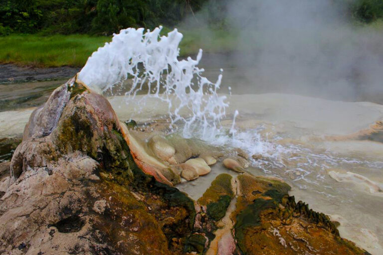 the Semuliki National Park experience is best explored on foot. Guided nature walks allow visitors