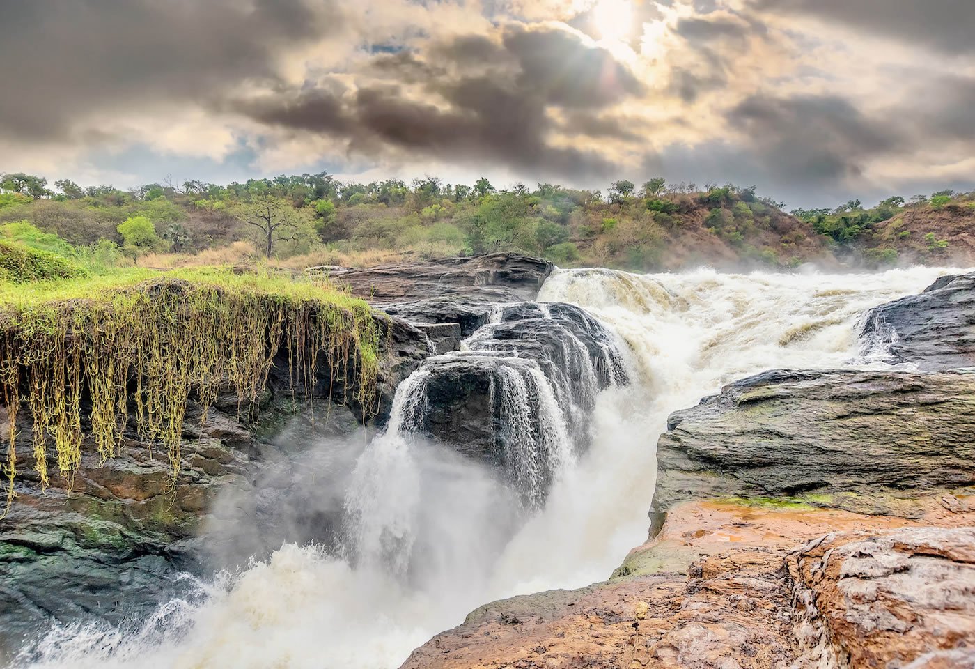 2-Day Budget Murchison Falls Wildlife Safari in Uganda