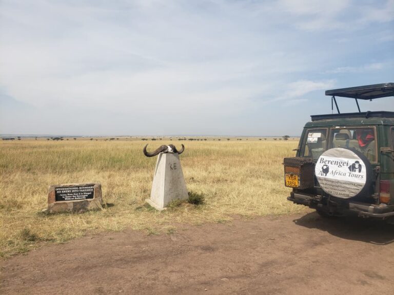 safari booking