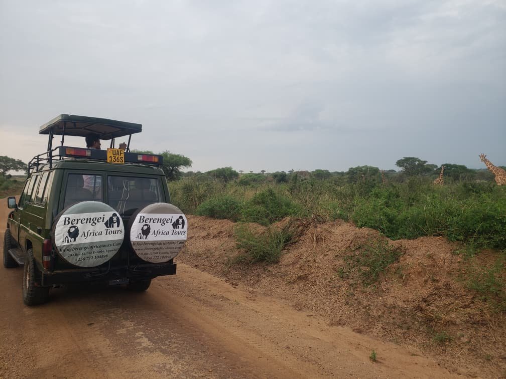 Self-Drive vs Guided Safari: Which Is Better?
