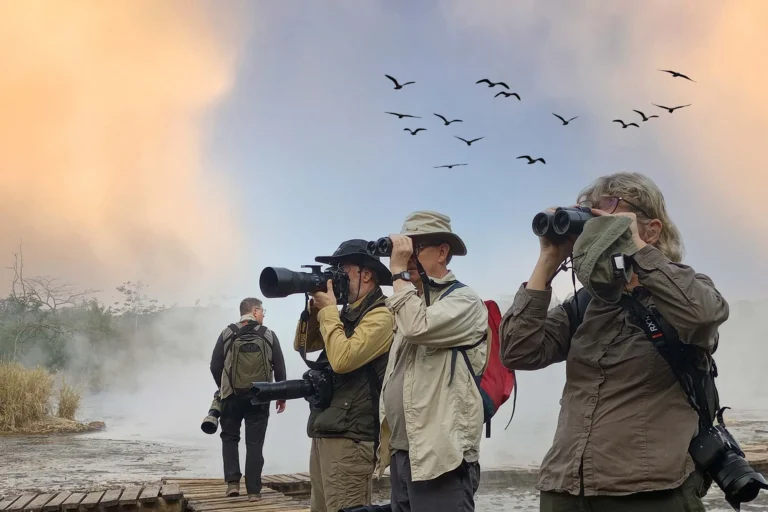Luxury honeymoon birding in uganda