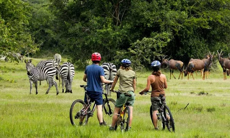 3 Day Lake Mburo & Queen Elizabeth Safari
