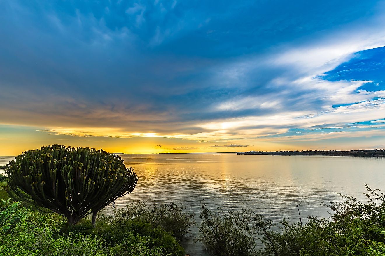 LAKE VICTORIA