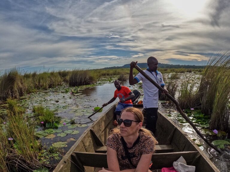 Contact Berengei Africa Tours today and plan your Mabamba Swamp birdwatching adventure.