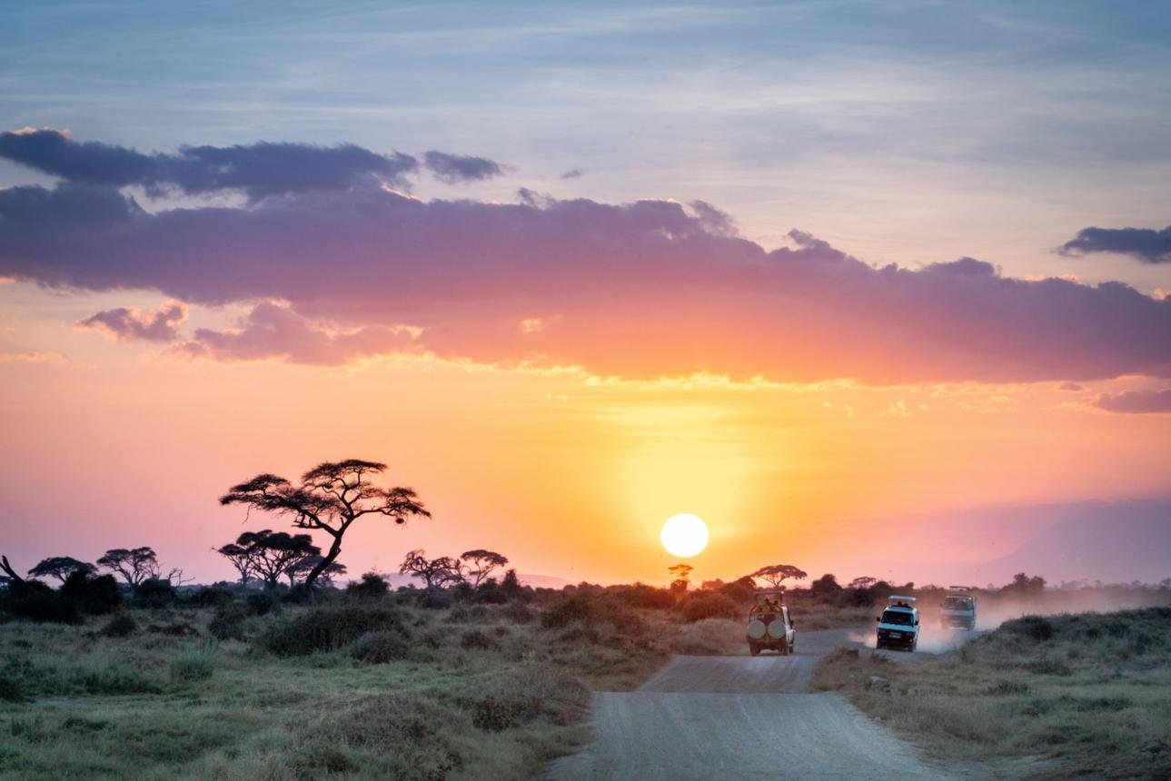 visit Kenya for a Safari