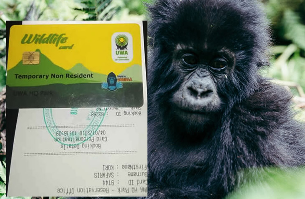 Uganda Gorilla Permit sample - Berengei Africa Safaris