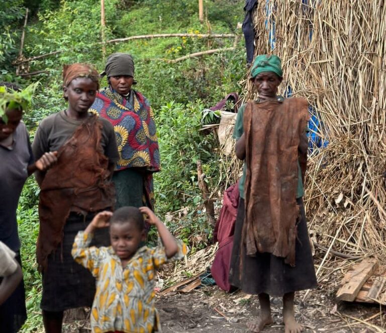 Is Bwindi Impenetrable National Park Worth Visiting?