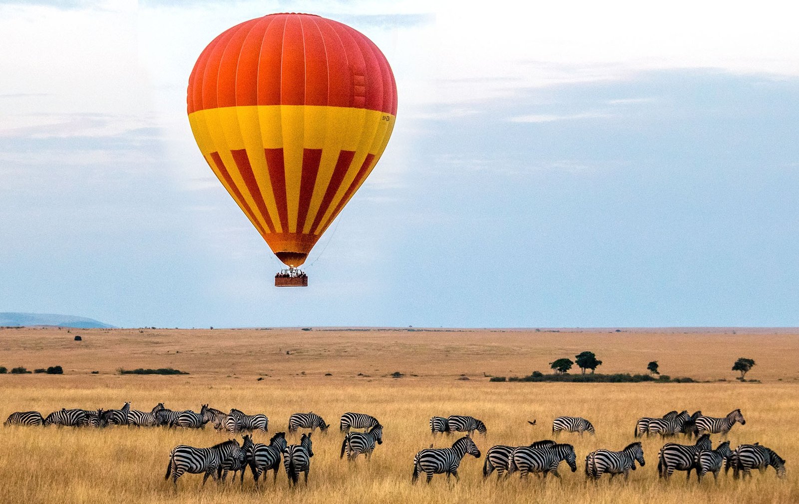 Summer Safari Activities