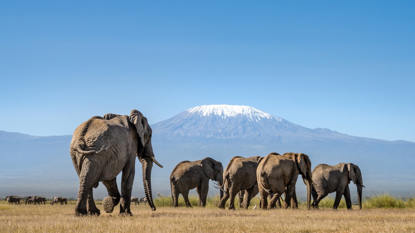 Amboseli and Mount Kilimanjaro