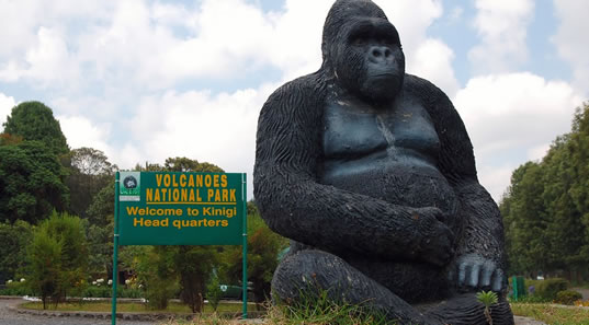 Experience unforgettable gorilla trekking in Uganda and Rwanda. Book expert-guided gorilla safaris, secure permits, and enjoy tailored wildlife adventures with Berengei Africa Safaris.