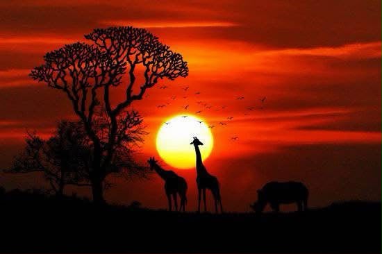 Top 10 Must-Visit Uganda Safari Destinations | 2026 Guide