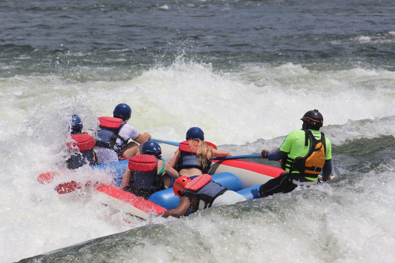 Summer Safari Activities