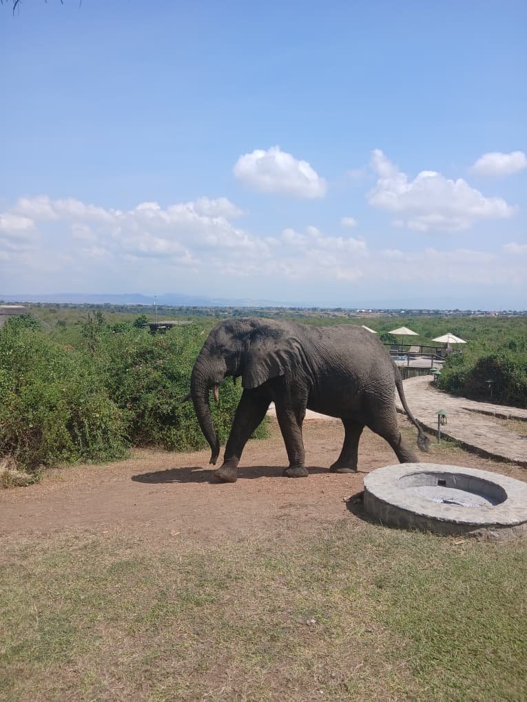 Kazinga Channel boat cruise Uganda