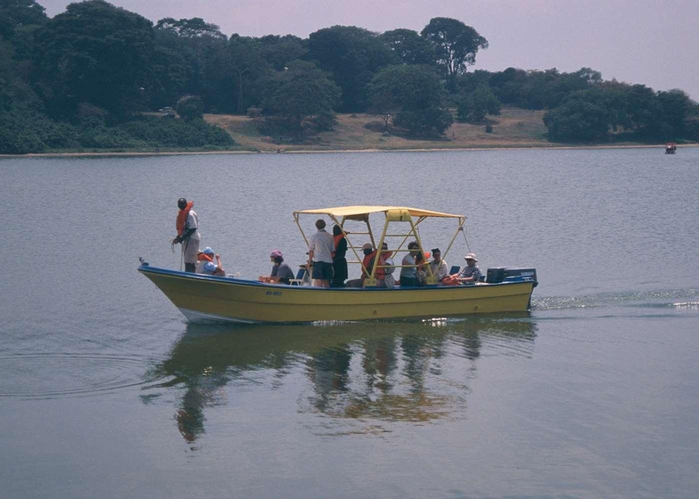 Birdwatching, Chimpanzee experience at Ngamba Island Chimpanzee Sanctuary in Uganda