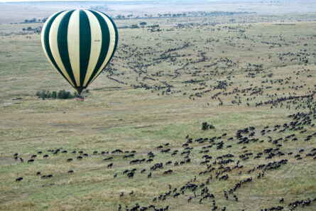 Masai Mara