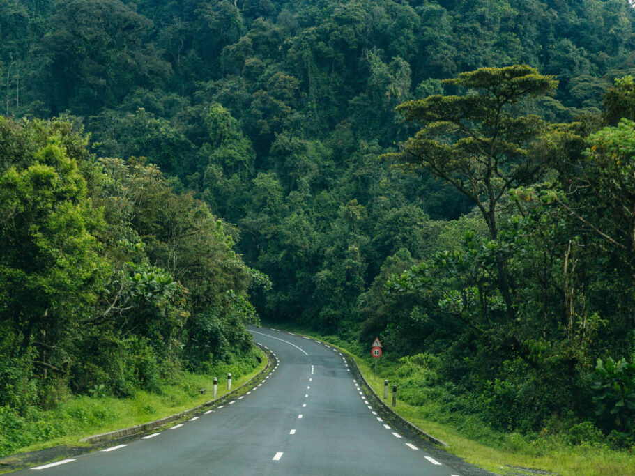 Nyungwe Forest National Park