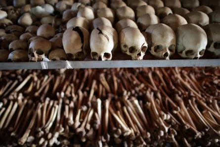 Rwanda Genocide